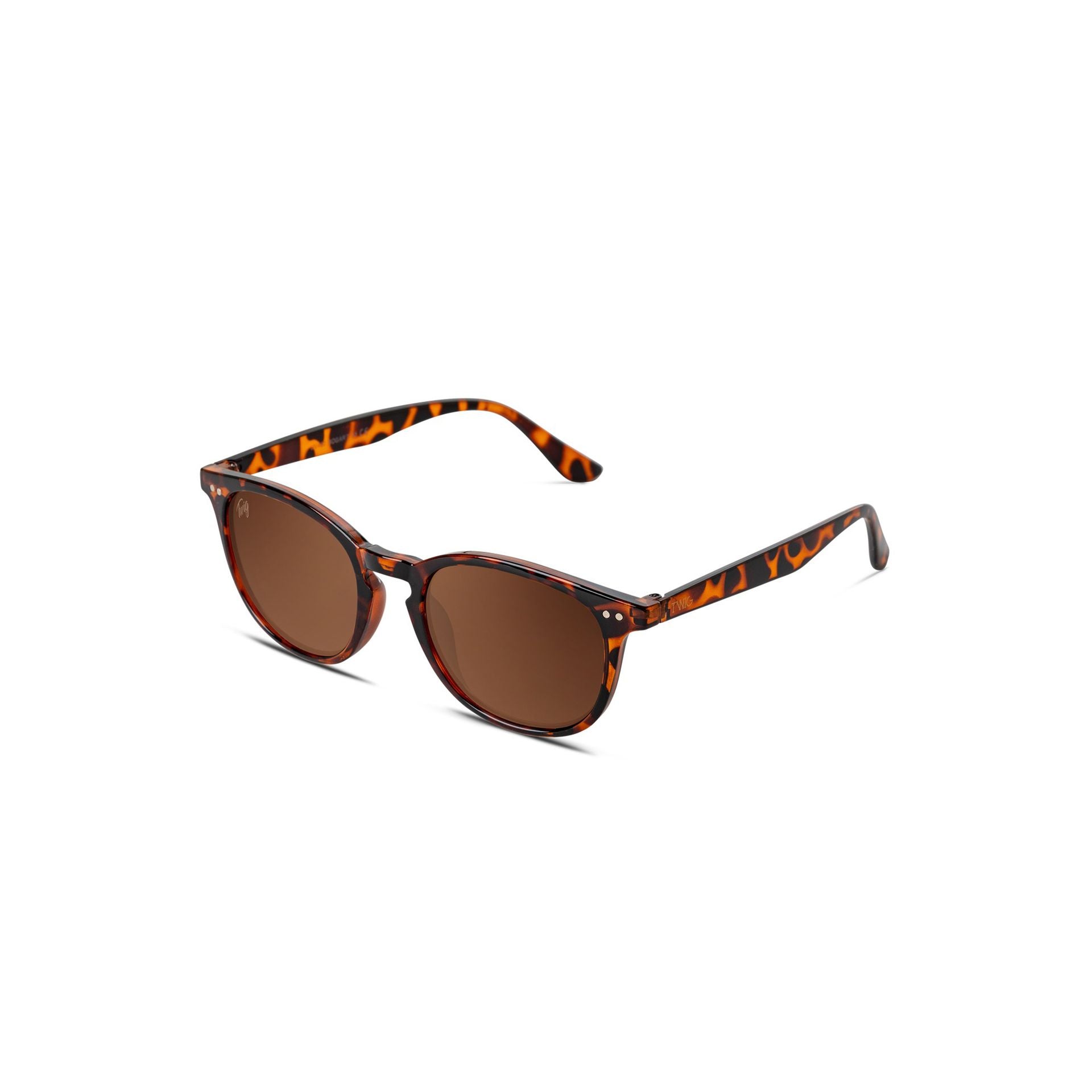 Twig Sunglasses